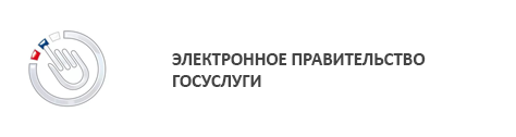 Электронное правительство. Госуслуги.